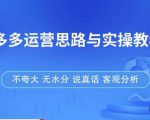 拼多多店铺运营思路与实操教程，快速学会拼多多开店和运营，少踩坑，多盈利-21资源库