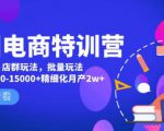美团电商特训营:美团·店群玩法,无脑铺货月产出6000-15000+精细化月产2w+-21资源库