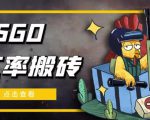 外面9800的CSGO汇率搬砖项目,一个月轻松赚几千【选品软件+详细教程】-21资源库