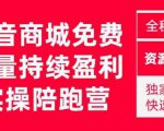 抖音商城搜索持续盈利陪跑成长营，抖音商城搜索从0-1、从1到10的全面解决方案-21资源库