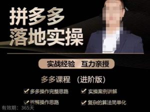 拼多多实战篇·落地实操：多多操作完整思路+实操案例讲解+拆解操作思路+复杂的算法简单化-21资源库