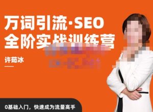 许茹冰·万词引流-SEO全阶实战训练营，0基础入门，快速成为流量高手-21资源库