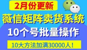 微信矩阵卖货系统,多线程批量养10个微信号,10种加粉落地方法,快速加满3W人卖货!-21资源库