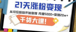 21天精准涨粉变现干货大课:从10位粉丝开始变现月增5000+变现20w+-21资源库