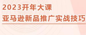 2023亚马逊新品推广实战技巧,线下百万美金课程的精简版,简单粗暴可复制,实操性强的推广手段-21资源库