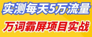 百度万词霸屏实操项目引流课,30天霸屏10万关键词-21资源库