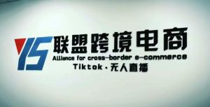 YS联盟·Tiktok无人直播，不出镜不剪辑不拍摄不发货无售后的跨境短视频躺赚玩法-21资源库