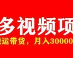 多多带货视频快速50爆款拿带货资格,搬运带货,月入30000【全套脚本+详细玩法】-21资源库