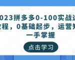 2023拼多多0-100实战运营教程,0基础起步,运营知识一手掌握-21资源库
