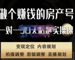 刘广标·同城房产号线上陪跑课,拍摄、剪辑、写文案、直播,做一个具有潜力价值的房产号-21资源库