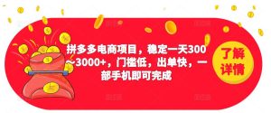 2023拼多多电商项目，稳定一天300～3000+，门槛低，出单快，一部手机即可完成-21资源库