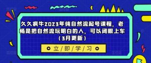 久久疯牛2023年纯自然流起号课程,老杨是把自然流玩明白的人,可以闭眼上车(3月更新)-21资源库