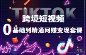 跨境短视频TIKTOK 0基础到精通网赚变现套课,跨境短视频独立站带货变现技巧-21资源库