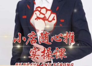 随心推线上课,小店随心推的投放逻辑,投放技巧,快速打标签-21资源库