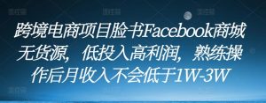 跨境电商项目脸书Facebook商城无货源,低投入高利润,熟练操作后月收入不会低于1W-3W-21资源库