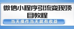 微信小程序引流变现项目教程,当天操作当天就有收益,变现不再是难事-21资源库