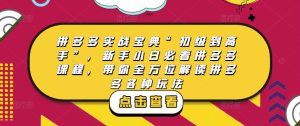 拼多多实战宝典“初级到高手”,新手小白必看拼多多课程,带你全方位解读拼多多各种玩法-21资源库