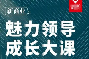 张琦·新商业魅力领导成长大课2023新版,高效管理必修课(30节)-21资源库