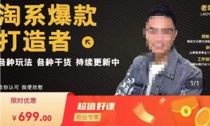 锋投老叶全店动销,淘系干货汇总,各种玩法,淘系爆款打造者-21资源库