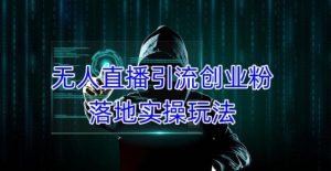 外面收费3980的无人直播引流创业粉落地实操玩法,单日引100+精准创业粉-21资源库