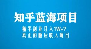 知乎蓝海玩法,躺平副业月入1W+,真正的睡后收入项目(6节视频课)-21资源库
