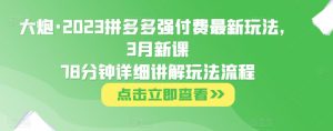大炮·2023拼多多强付费最新玩法，3月新课​78分钟详细讲解玩法流程-21资源库