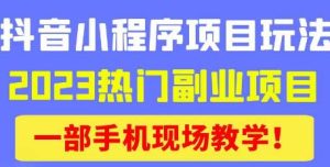 抖音小程序9.0新技巧,2023热门副业项目,动动手指轻松变现-21资源库
