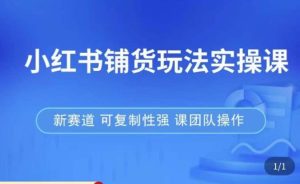 小红书铺货玩法实操课,流量大,竞争小,非常好做,新赛道,可复制性强,可团队操作-21资源库