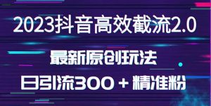 日引300+创业粉,独家抖音高效截流2.0玩法(价值1280)-21资源库
