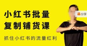 张宾·小红书批量复制铺货课,小红书0-1快速起号变现玩法,抓住小红书的流量红利(更新2023年3月)-21资源库