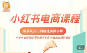小红书电商新手入门到精通实操课,从入门到精通做爆款笔记,开店运营-21资源库