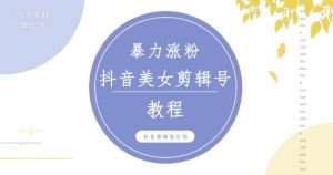 抖音快手暴力涨粉美女混剪视频教程，百分百过原创图片教程！附带违规申诉方法-21资源库