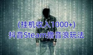 抖音Steam撸音浪玩法,挂机一天收入1000+不露脸 不说话 不封号 社恐人群福音-21资源库