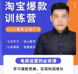 爱上黄昏·淘宝爆款训练营，2023最新运营打法，学习爆款思维，实现利润增长-21资源库
