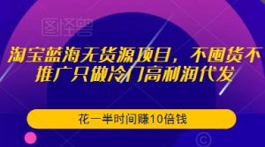 淘宝蓝海无货源项目，不囤货不推广只做冷门高利润代发，花一半时间赚10倍钱-21资源库
