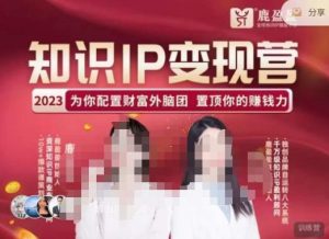 鹿盈盈-知识IP变现实操营，​普通人可复制的知识产品落地实操课，​带你打通知识IP变现底层逻辑-21资源库