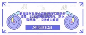 听潮阁学社汽水音乐项目实操课全流程,2023超级蓝海项目,汽水音乐推广,0粉丝也能做-21资源库