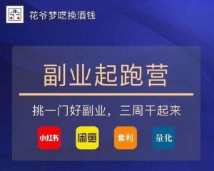 花爷-副业起跑营第2期,挑一门好副业,三周干起来(闲鱼|小红书|量化|套利)-21资源库