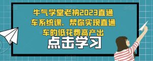 牛气学堂老衲2023直通车系统课,帮你实现直通车的低花费高产出-21资源库