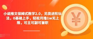 小说推文保姆式教学2.0,另类进阶玩法,0基础上手,轻松月撸1w无上限,可主可副可兼职-21资源库