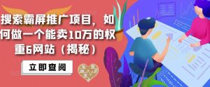 搜索霸屏推广项目,如何做一个能卖10万的权重6网站(揭秘)-21资源库