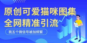 黑科技纯原创可爱猫咪图片,全网精准引流,实操5个VX号被加频繁-21资源库
