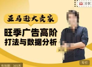 阿甘·亚马逊大卖家广告高阶打法与数据分析,走出传统广告误区;揭秘大卖惯用打法;数据驱动广告决策-21资源库