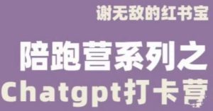 谢无敌ChatGPT打卡营,教你更好地使用ChatGPT来提高工作效率-21资源库