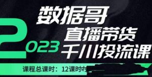 数据哥2023直播电商巨量千川付费投流实操课,快速掌握直播带货运营投放策略-21资源库