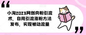 小淘2023网创类粉引流术,自用引流涨粉方法发布,实现被动流量-21资源库