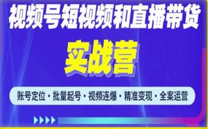 2023最新微信视频号引流和变现全套运营实战课程，小白也能玩转视频号短视频和直播运营-21资源库