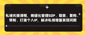 私域实操课程,精细化管理SOP、裂变、复购、转粉、打造个人IP,解决私域增量变现问题-21资源库