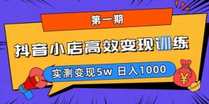 抖音小店高效变现训练营（第一期）,实测变现5w，日入1000【揭秘】-21资源库