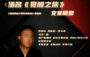 王扬名·《觉醒之旅》文案模型，​带着你用你的一件小事，对自己有意义的短视频文案-21资源库